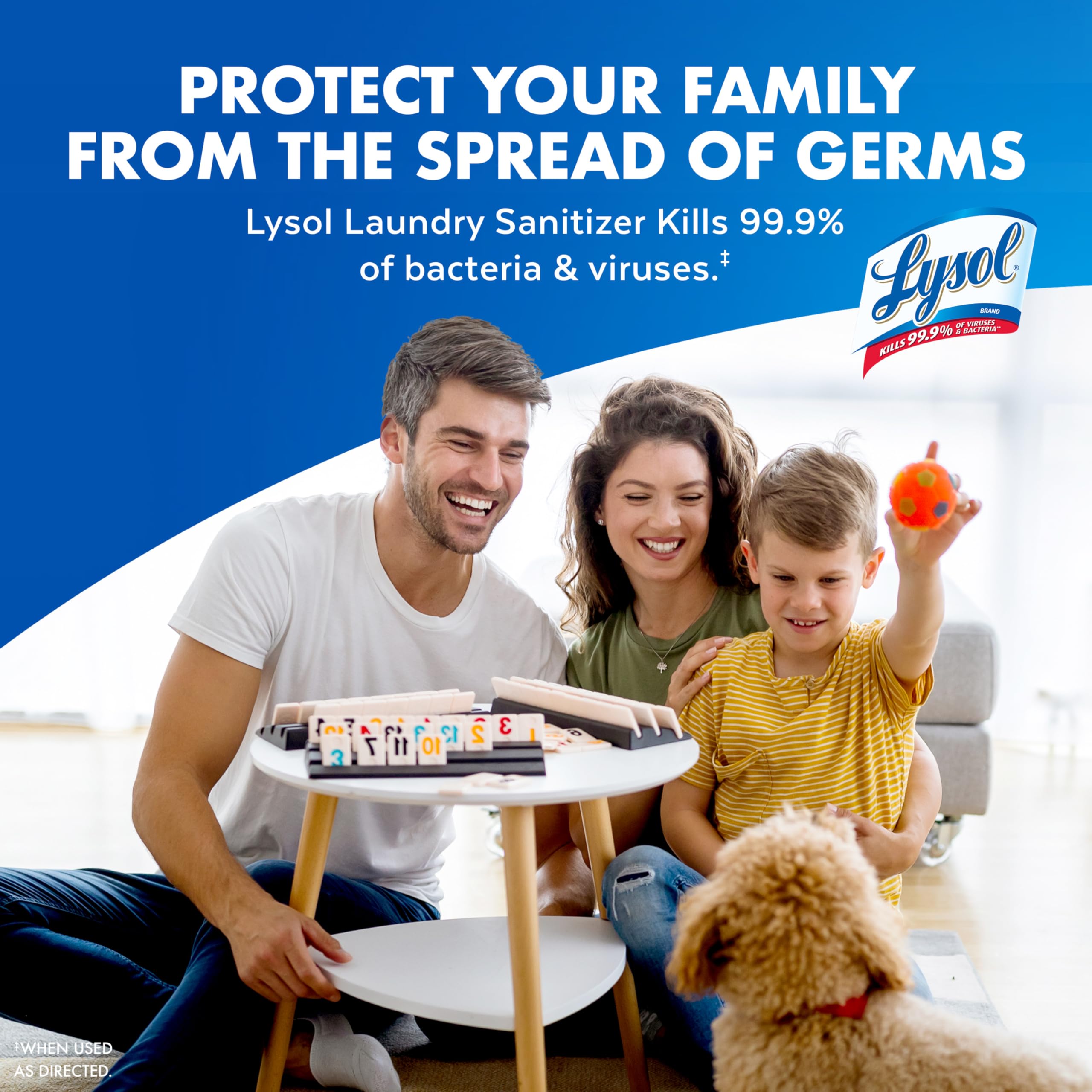 Lysol Laundry Sanitizer Additive