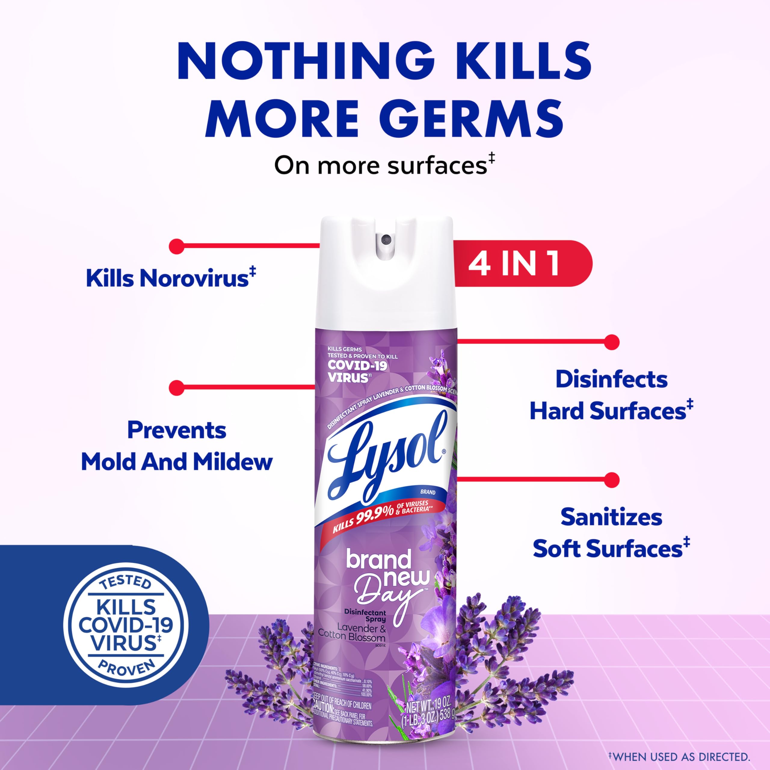 Lysol Disinfectant Spray, Sanitizing And Antibacterial Spray, For Disinfecting And Deodorizing, Early Morning Breeze, 19 Fl Oz (Pack Of 2), Packaging May Vary