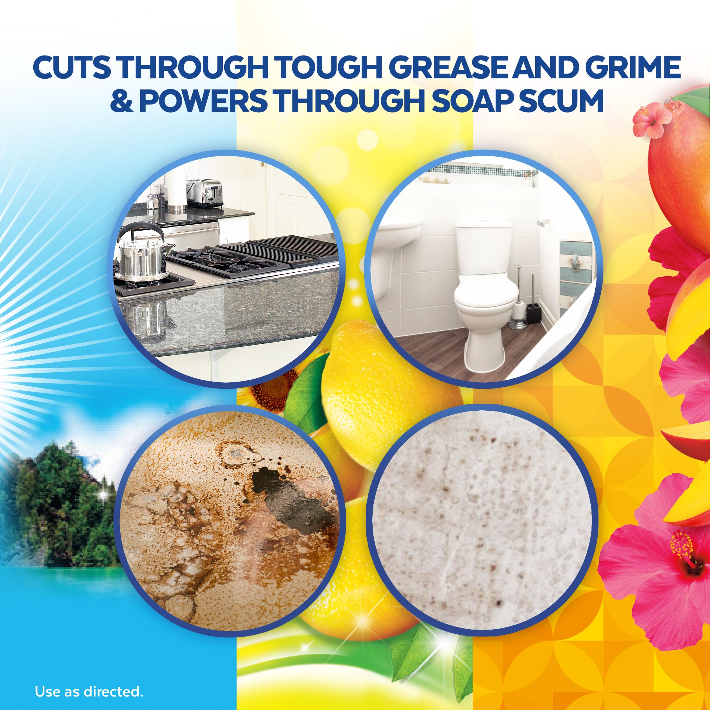 Lysol Multi-Surface Cleaner, Sanitizing and Disinfecting Pour